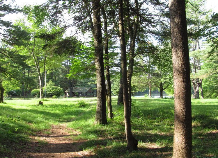 Brimfield State Forest, Massachusetts, USA